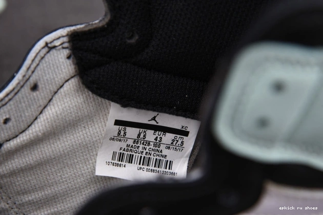 Rep High 1 861428-100 Jordan Igloo Retro 0809